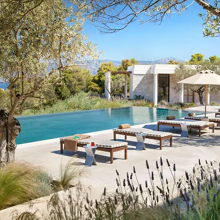 Amanzoe-2